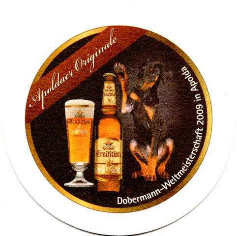 apolda ap-th apoldaer veranst 4b (rund215-dobermann wm 2009)